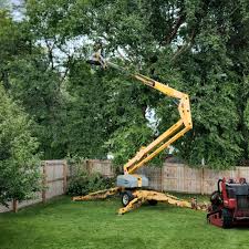 Lawn Grading and Leveling in Rocky Ford, CO